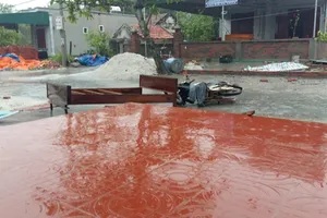 Quảng Ninh: Lốc xoáy bất ngờ tại đảo Minh Châu