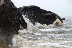 Thủy triều đỏ đã tấn công bờ biển Bình Thuận như thế nào?