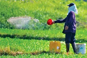 Tăng phạt nặng đối với sử dụng thuốc cấm trong cây trồng