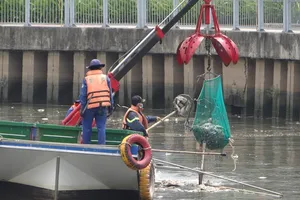 Bất ngờ với lượng cá chết hơn 70 tấn ở kênh Nhiêu Lộc - Thị Nghè