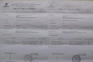 Hủy án vụ nguyên đội trưởng QLTT ‘giải cứu' phân dỏm 