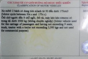 Khi nào hết hạn chuyển đổi GPLX qua mẫu PET?