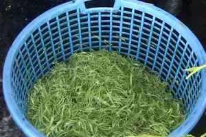 ​Bắt giữ hơn 1,5 tấn rau muống bào ngâm hóa chất ở Củ Chi