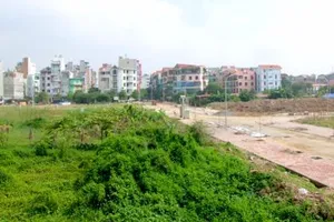 Mới: Miễn, giảm tiền sử dụng đất trong trường hợp đấu giá