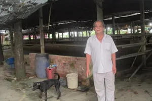 Huỷ án vụ ‘nông dân qua biên giới mua trâu bị kết tội'