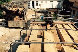 Bắt 7 người cùng 2 xe tải vận chuyển gỗ lậu 