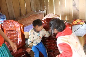 Phát hiện thêm 2 trường hợp bị chứng đầu nhỏ 