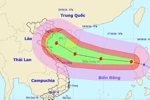 Bộ Y tế gửi công điện về ứng phó khẩn cấp bão số 7
