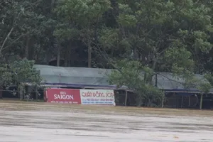 Quảng Trị: Lũ về bất ngờ nhà dân chìm trong biển nước