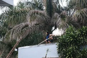 Nam thanh niên cầm vũ khí... nhảy múa trên nhà cao tầng