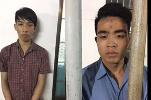 Bắt 2 thiếu niên chỉ sau 8 giờ gây án