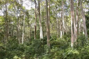 Chính sách mới có hiệu lực thi hành trong tháng 12-2016