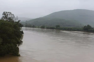 Quảng Ngãi: Thiệt hại do lũ tăng cao 