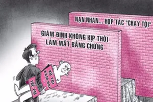 Nghi con bị xâm hại, đến đâu để giám định?