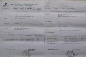 Nguyên Đội trưởng QLTT "giải cứu phân dỏm" ra tòa