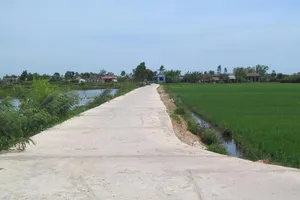 Tham tiền, trưởng và phó thôn nắm tay nhau 'về vườn'