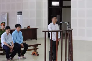 Không giảm án cho kẻ giết voọc trên núi Sơn Trà 