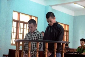 Đánh bạn làm thuê tử vong vì chê tai heo nhiều mỡ