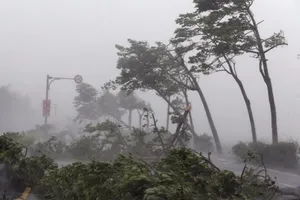 Những Nghị định có hiệu lực thi hành trong tháng 9-2017