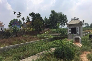 Nguyên các cán bộ thôn Đạo Ngạn kháng cáo án tù