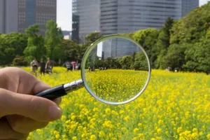 Chuẩn bị tổng điều tra dân số và nhà ở