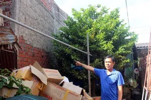 'Một thửa đất có hai họa đồ' gây khó cơ quan THA