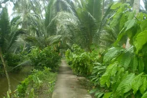 Thanh niên đi tù vì bị ông ngoại bạn gái ‘bắt quả tang’