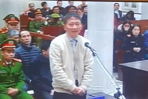 Lần đầu tiên điều tra viên trả lời trước tòa