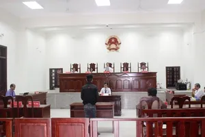 Thiếu niên xâm hại con gái của mẹ kế lãnh án