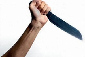 Dí dao bắt cô gái ở công viên đưa về nhà nghỉ hiếp dâm