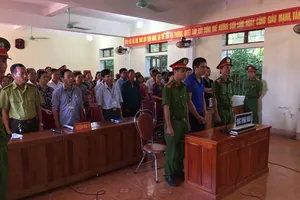Lãnh án vì hủy hoại rừng chính mình được giao sử dụng 