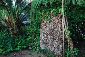 Xin ngủ lại một đêm xong… ‘hốt’ sạch tài sản của bạn