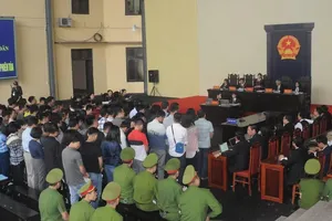 Vụ Phan Văn Vĩnh: 'Có thế lực rất lớn bảo kê, cứ yên tâm làm'