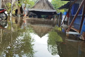 Triều cường dâng cao, nhà dân ngập trong nước