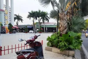 Người dân lo sợ tai nạn vì đường không có vỉa hè