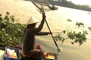 Cá chép chưa kịp đưa ông Táo về trời đã bị 'tóm'