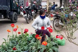 Tiểu thương co ro trong chợ Tết