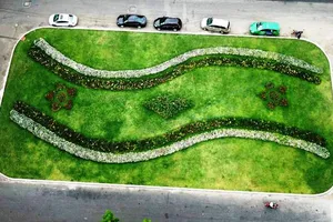 Biến bãi xe bỏ hoang thành vườn hoa xanh ngát