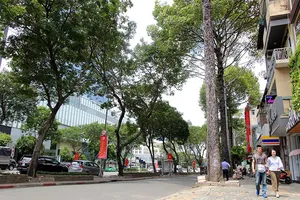 Cấm các loại xe lưu thông vào đường Lê Lợi