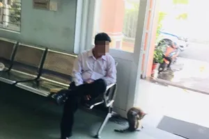 Bị dừng xe, đưa thẻ công an giả xin bỏ qua