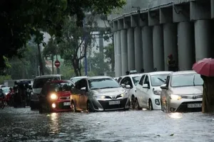 Xử lý cây xanh trên đường Nguyễn Hữu Cảnh như thế nào?