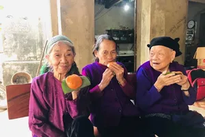 Xuân này lại nhớ bánh giầy xưa