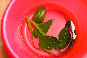 Mùng 1 tết người Tày rửa mặt bằng nước 'nàng tiên'