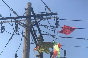 Lý do không ngờ gây mất điện trên diện rộng 