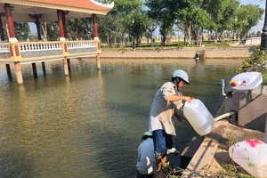 Người Tiền Giang khổ sở vì hạn mặn