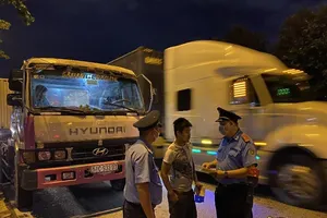 Nhiều tài xế container bị xử phạt vì dừng đỗ sai quy định