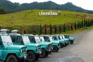 Đình chỉ 40 xe Jeep và U-oát chở người lên LangBiang