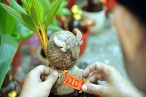 Chiêm ngưỡng bonsai hình trâu độc lạ năm Tân Sửu