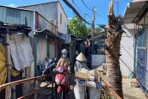 3 cây cầu được quận 7 gấp rút khởi công