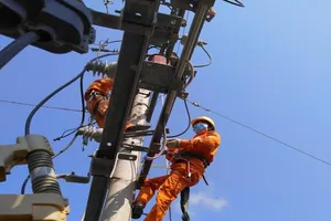 EVNSPC: Đảm bảo điện cho bầu cử tại các tỉnh, thành phía Nam